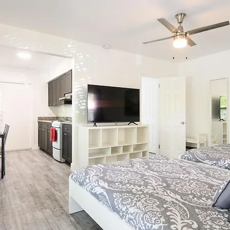 The Oasis Apartment